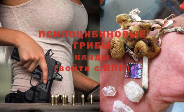 ECSTASY Балахна