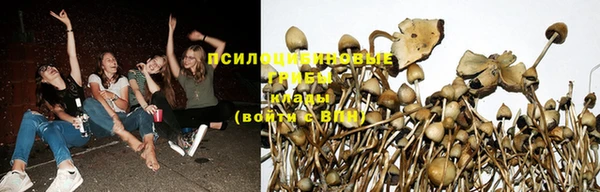 меф Арсеньев