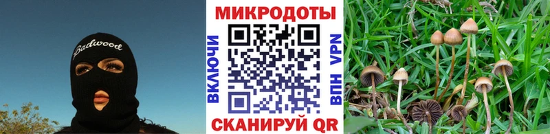 Галлюциногенные грибы прущие грибы  OMG ССЫЛКА  Лакинск 